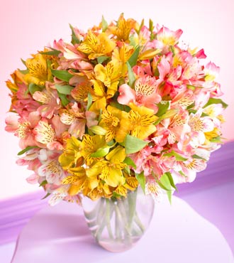 Mixed Peruvian Lilies Bouquet